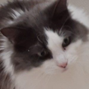 Meet your Posher, Barbara